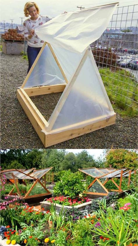 Diy Greenhouses, Cold Frame Diy, نباتات منزلية, Greenhouse Plans, Diy Greenhouse, Veg Garden, Garden Greenhouse, Cold Frame, Greenhouse Gardening