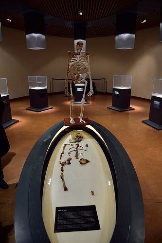 Cradle of Humankind, Maropeng, Gauteng, South Africa | by South African Tourism Cradle Of Humankind South Africa, Cradle Of Humankind, Proudly South African, South Africa Travel, Pretoria, Johannesburg, South African, Old And New, South Africa