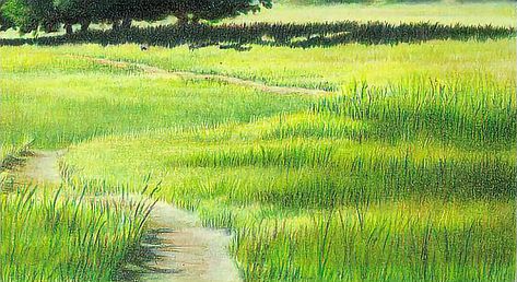 Grass Color Pencil, How To Draw Grass With Colored Pencils, How To Draw Grass Colored Pencil, Drawing Grass Colored Pencil, How To Draw Grass Pencil, Grass Colored Pencil, Grass Drawing, Pencil Drawing Ideas, Hipster Drawings