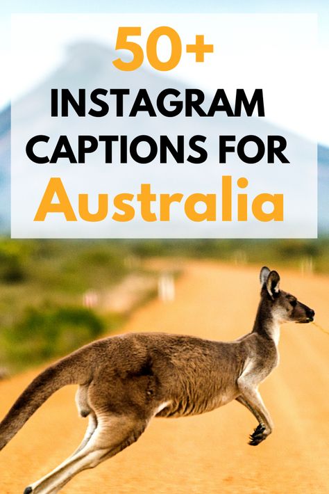 Australia Quotes for Instagram Captions Australian Sayings Funny, Funny Aussie Quotes, Australia Humor, Aussie Quotes, Funny Advice Quotes, Australia Quotes, Australian Quotes, Australia Quote, Nullarbor Plain