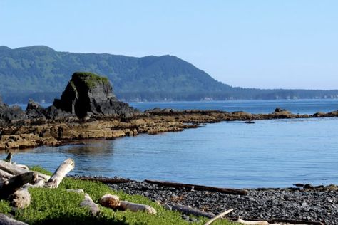 Spend Your Day Tide Pooling At Fort Abercrombie State Park In Alaska Tide Pooling, Kodiak Alaska, Spruce Forest, Kodiak Island, Alaska The Last Frontier, Temperate Rainforest, What To Do Today, To Do Today, Tide Pools