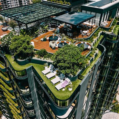 As our cities densify, the provision of rooftop amenity is becoming increasingly important to urban life in Australian cities. The rooftop at #oxleyandstirling landscaped by @martinbrothers_landscaping , developed by @ariapropertygroup and designed by @elenberg_fraser is one benchmark example! The rooftop project features a vine-covered pergola, lap and plunge pool, alfresco dining and panoramic views of Brisbane river and CBD. Check out the link in our bio for a recently featured article in Que Australian Cities, Rooftop Garden Urban, Roof Gardens, Brisbane River, Garden Tattoo, Green Roofs, Rooftop Design, Rooftop Lounge, Alfresco Dining