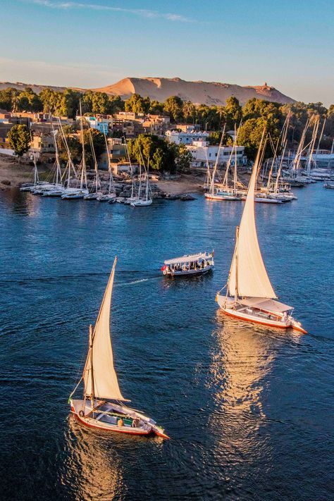 Nubian Egypt, Aswan Egypt, Egypt Resorts, Nile River Cruise, Life In Egypt, River Nile, Egypt Culture, Cruise Excursions, Visit Egypt