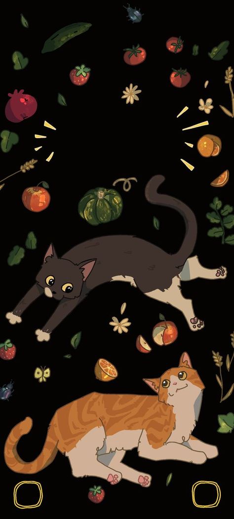 Fruit Black Yellow Cat Phone Wallpaper Phone Backgrounds Cat, Black Cat Wallpaper Iphone, Phone Wallpaper Cat, Cat Iphone Wallpaper, Aesthetic Cat Wallpaper, Cat Wallpaper Iphone, Wallpaper Gatos, Cat Phone Wallpaper, Iphone Wallpaper Cat