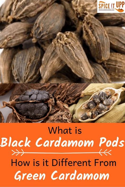 Black cardamom pods is an Indian spice often used in cooking many Indian dishes such as curries and rice. Although many may have tasted it very few know about this native Indian spice. This post explains how to use Black Cardamom for cooking, the benefits of Black cardamom, how to store it and the difference between green cardamom and black cardamom pods #spices #indiancooking #cookingwithspices #indianspices #spiceitupp #indiancookingtips #indianfoodtips #blackcardamom #benefitsofspices #howtoc Cardamom Benefits, Cardamom Plant, Female Youtubers, Essential Spices, Cardamom Recipe, Indian Spice Box, Black Cardamom, List Of Spices, Cardamom Pods