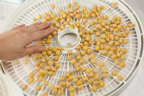 How to Dehydrate Canned Chickpeas | LEAFtv Dried Fava Beans, Food Dehydrator Recipes, Dehydrator Ideas, Garbonzo Beans, Storing Food Long Term, Dehydrating Food Storage, Food Dehydration, Dehydrating Food, Dehydrated Foods