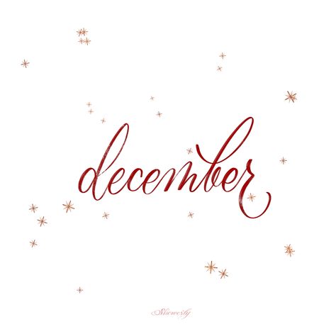 December Calligraphy, December Word, Cursive Penmanship, Holiday Iphone Wallpaper, Monthly Quotes, Types Of Journals, Ipad Procreate, Christmas Spices, Lettering Ideas