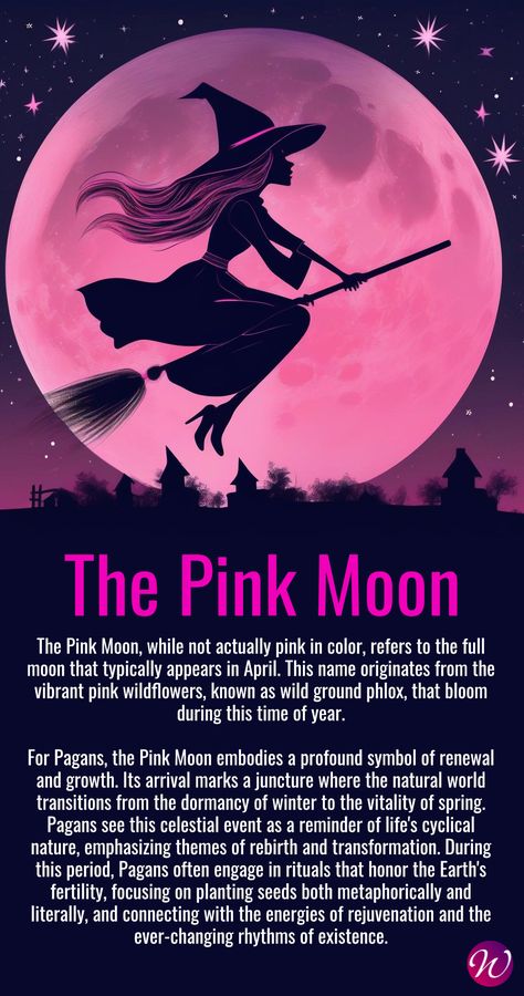 The Meaning of a Pink Moon Full Pink Moon Ritual, Pink Full Moon 2024, Full Pink Moon, Pink Moon Ritual 2024, Pink Moon Ritual, Pink Moon Cycle, Pink Full Moon, Pink Moon Meaning, Full Moon Meaning