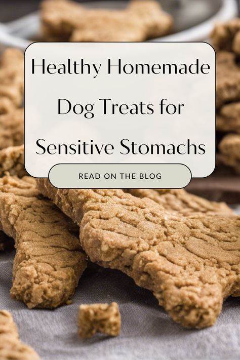 homemade recipes are gentle on sensitive doggy tummies Beef Tallow Dog Treats, Treats For Dogs With Sensitive Stomach, Diy Puppy Treats Healthy, Cheap Dog Treats Homemade, Dog Oatmeal Treats, Easy No Bake Dog Treats Recipe, Sensitive Stomach Dog Treats, Hypoallergenic Dog Treats Recipes, Green Bean Dog Treats