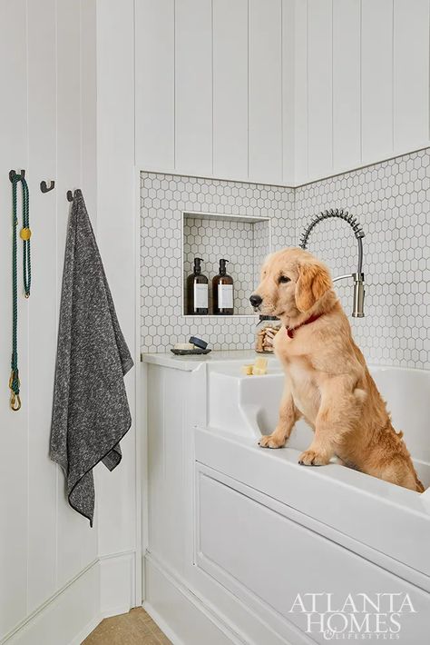 With A Twist - Atlanta Homes and Lifestyles Penny Tile Floor, Dog Wash Station, Dog Room Design, Kid Friendly Bathroom, Best Cat Breeds, Atlanta Homes And Lifestyles, Wash Station, Washing Station, Dog Washing Station