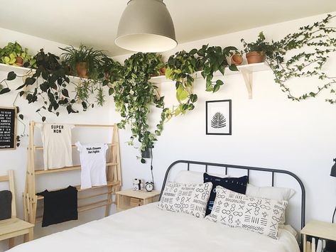 Over The Bed Plant Shelf, Long Plant Shelf Above Bed, Boho Bedroom Shelf Above Bed, Above Bed Shelf Styling, Long Shelves Above Bed, Bedroom Plant Shelf Above Bed, Plant Shelves Over Bed, Plant Shelves Above Bed, Plants Above Bed Shelves