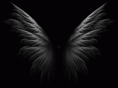 Wings Dark GIF - Wings Dark Animation - Discover & Share GIFs Angel Wings Gif, Raven Goddess, Icarus And The Sun, Demon Gif, Spell Effects, Angel Gif, Dark Gif, Architecture Geometry, Overlay For Edits