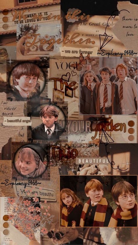 Harry Potter The Golden Trio, Harry Potter Harry Potter Wallpaper, Golden Trio Aesthetic, Golden Trio Wallpaper, Harry Potter Golden Trio, Harry Potter Lock Screen, Harry Potter Trio, Trio Edit, Harry Potter Wallpaper Backgrounds