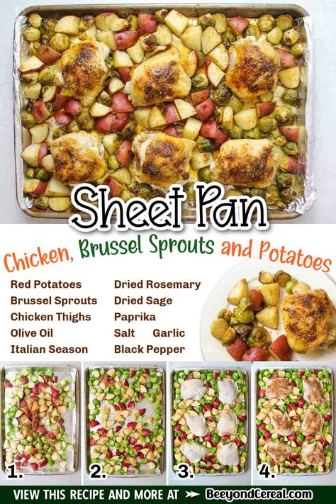 Cook up a full meal on one pan and save yourself effort and dishes. you're going to love this sheet pan chicken meal with roasted brussel sprouts and potatoes. We are big fans of roasted chicken, brussel sprouts, and potatoes so this sheet pan meal is always a huge family favorite. The crisp flavorful skin on the chicken, the juicy dark meat underneath, and the wonderfully crisp and flavorful veggies all go so well with each other. Roasted Brussel Sprouts And Potatoes, Dinner With Brussel Sprouts, Brussel Sprouts And Potatoes, Chicken Brussel Sprouts, Pan Chicken Breast, Sheet Pan Meals Chicken, Roasted Chicken And Potatoes, Sheet Pan Dinners Chicken, Huge Family