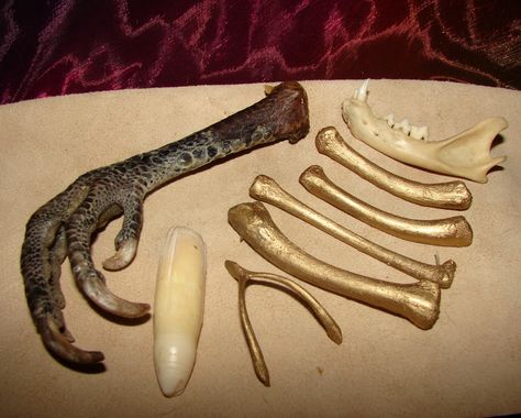 Bones used in divination. Throwing Bones, Bone Throwing, Conjure Woman, Healing Spell, Fertility Spells, Bone Healing, Revenge Spells, Acid Art, Voodoo Spells