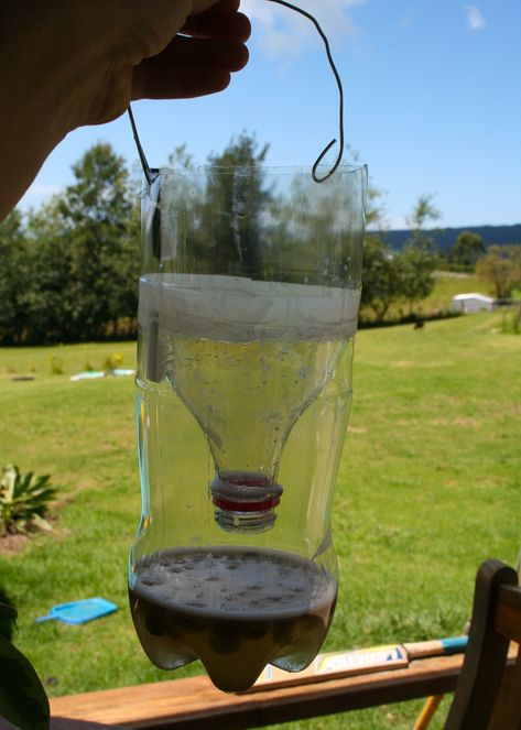 How to Make a Homemade Fly Trap with a Regular Plastic Bottle - Clean Eating with kids House Fly Traps, Best Fly Trap, Flies Trap Diy, Homemade Fly Traps, Plastic Bottle House, Diy Fly Trap, Fly Bait, Bottle House, Diy Plastic Bottle