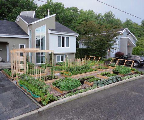 Great looking front yard veggie garden. Water Saving Landscape, Square Foot Gardening Plans, Yard Kitchen, Garden Wallpaper, Veg Garden, Square Foot Gardening, Front Lawn, Front Yard Garden, Food Garden