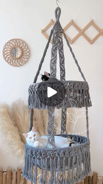 Emma Yang on Instagram: "A beautiful macrame castle with 2 princesses enjoying their day:)
CHECK THE LINKINBIO for the price and the details if you are Interested in this design.
.
.
.
#CatHammockHeaven #PawsomeRelaxation #MacrameMagic #KittyLounge #CraftedForCats #ChicCatSwings #FelineFineLiving #HandmadeForWhiskers #Meowtastic #bohocatlife" Macrame Cat Hammock, Cat Playground, Cat Hammock, Cute Cat Gif, Whimsical Fashion, Macrame Design, Mint Color, Cat Playing, Pet Furniture