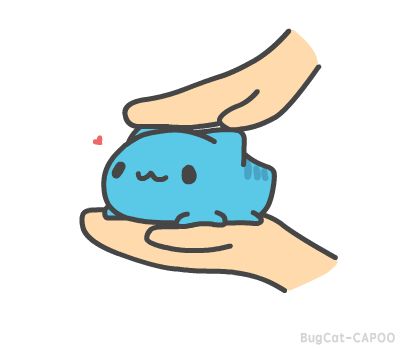 Cappo Cat, Capoo Cat, Kawaii Gif, Bugcat Capoo, Cat Kawaii, Fuzzy Blanket, Blue Cat, Dessin Adorable, Kawaii Cat