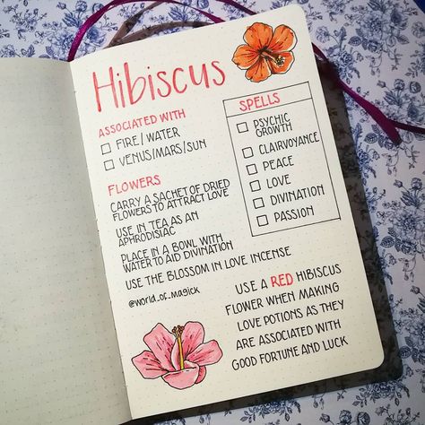 World of Magick on Instagram: “The hibiscus is such a beautiful flower 🌸🌸🌸 It is associated with both water and fire due to its delicate nature and sensitivity but also…” Water And Fire, Magickal Herbs, Witch Herbs, Green Witchcraft, Magia Das Ervas, Witchcraft Books, Wiccan Magic, Spiritual Journals, Grimoire Book