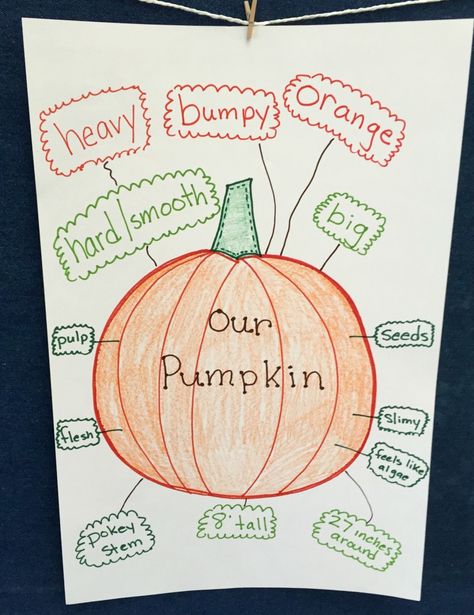 Lesson Plans For Infants, Kindergarten Pumpkin, Pumpkin Lesson Plans, Painting Lesson Plans, Lesson Plans For Kindergarten, Life Cycle Of A Pumpkin, Pumpkin Investigation, Pumpkin Lessons, Creative Curriculum Preschool