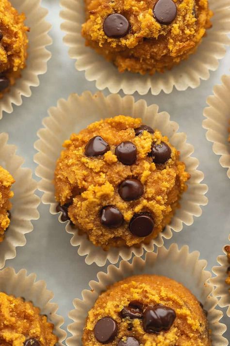 Keto Chocolate Chip Pumpkin Muffins - Gluten Free and Paleo • Low Carb with Jennifer Keto Pumpkin Muffins, Chocolate Chip Pumpkin Muffins, Low Carb Pumpkin Muffins, Keto Muffin Recipe, Gluten Free Pumpkin Muffins, Pumpkin Muffin Recipes, Low Carb Low Fat Recipes, Sugar Free Treats, Pumpkin Chocolate Chip Muffins