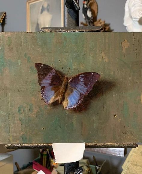 Night Sky Canvas Painting, Body Canvas Painting, Canvas Painting Nature, Nature Canvas Painting, Cute Easy Paintings, Canvas Painting For Beginners, Painting Nature, Painting For Beginners, Butterfly Painting