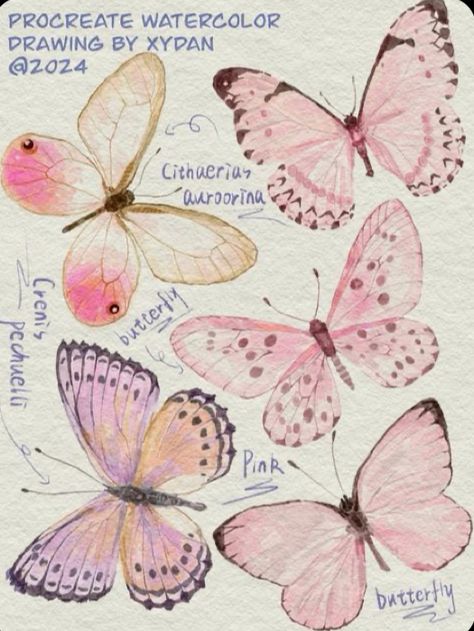 Butterfly Art Reference, Butterfly Drawing Ideas Creative, Butterfly Aesthetic Drawing, White Butterfly Drawing, Butterfly Drawing Sketches, Pink Butterfly Poster, Butterfly Drawing Aesthetic, Butterfly Doodle, Kawaii Butterfly