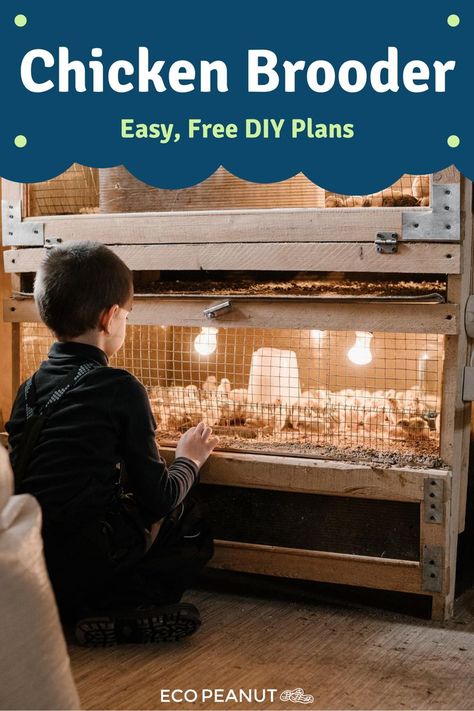 Chicken Brooder Plans, Brooding Box Diy, Diy Brooding House, Chick Brooder Ideas Diy, Brooder Box Ideas Diy Baby Chicks, Outdoor Chicken Brooder, Diy Brooder Box Baby Chicks, Chicken Brooder Ideas, Brooding Chicks