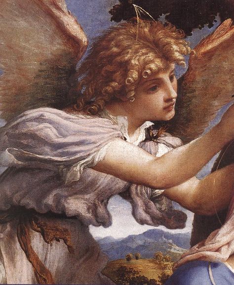 Lorenzo Lotto - Madonna and Child with Saints and an Angel (detail) Angel Gabriel, Rennaissance Art, Archangel Gabriel, San Michele, Angel Painting, Biblical Art, Angels In Heaven, Classic Paintings, Madonna And Child