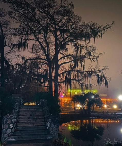 New Orleans Bayou, Southern Gothic Aesthetic, Southern Nights, New Orleans Travel, Southern Gothic, Gothic Aesthetic, Rural Life, New Orleans Louisiana, Pretty Places