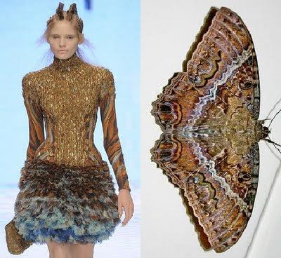 Alexander Mcqueen - Inspiration? Nature Inspired Fashion, Savage Beauty, Philip Treacy, Sarah Burton, Mcqueen Fashion, Mcq Alexander Mcqueen, Fashion Inspiration Design, Animal Fashion, Couture Fashion