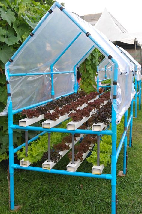 Hydroponic Garden, Hydroponic Farming, Hydroponics Diy, Aquaponic Gardening, نباتات منزلية, Hydroponic Growing, Plants Growing, Vertical Gardens, Aquaponics System