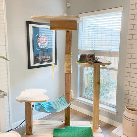 How to Build a DIY Cat Tree for Your Home | Family Handyman Cat Tower Diy, Wood Bird Feeder, Wooden Bird Feeders, Shelf Cover, Diy Cat Tree, Carpet Remnants, Project Steps, Basement Walls, Diy Cat