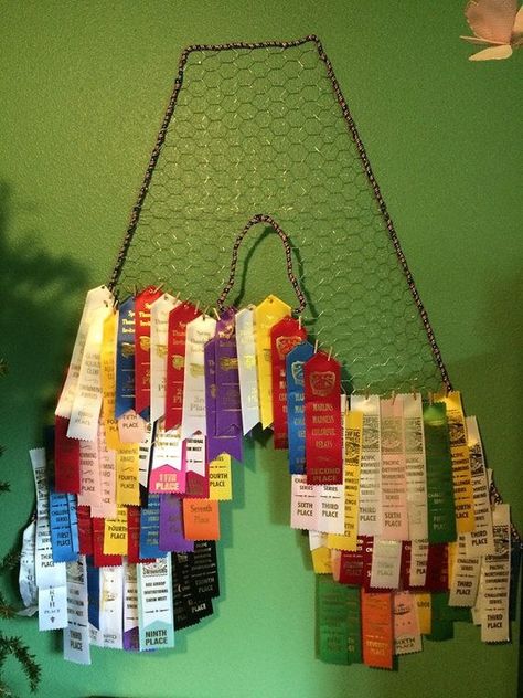 Award Ribbon Display, Horse Ribbon Display, Swim Ribbons, Show Ribbon Display, Horse Show Ribbons, Horse Ribbons, Ribbon Display, Trophy Display, Ribbon Holders