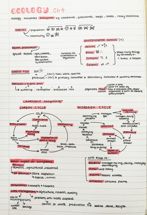 #biology #neatnotes #ecology #aestheticnotes #neathandwriting Ecosystem Biology Notes, Biology Revision Gcse Ecology, Biology Notes Ecology, Ecology Notes College, Biology Ecology Notes, Environmental Studies Notes, Population Ecology Notes, Ecology Study Notes, Ecology Notes Aesthetic