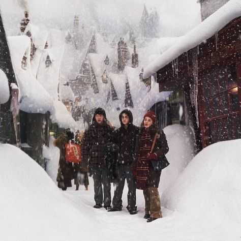 Hogwarts Forest, Winter Hogwarts, Winter Harry Potter, The Golden Trio, Images Harry Potter, Septième Art, Hogwarts Aesthetic, Golden Trio, I Love Cinema