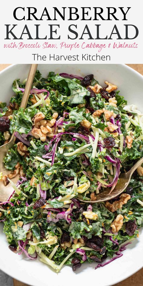 This chopped Kale Salad with Cranberries is a delicious sweet kale salad made with curly kale, broccoli slaw, purple cabbage, dried cranberries and walnut pieces all tossed in a luscious orange dressing. Cranberry Kale Salad, Chopped Kale Salad, Sweet Kale Salad, Broccoli Slaw Salad, Salad With Cranberries, Orange Dressing, Curly Kale, Kale Slaw, Chopped Kale