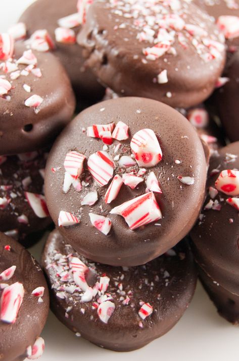 Dipped Oreos Christmas, Oreo Ideas, Christmas Oreos, Peppermint Oreos, Covered Oreo Cookies, Chocolate Dipped Oreo, Peppermint Recipes, Christmas Cookie Recipes Holiday, Oreo Cookies Dipped