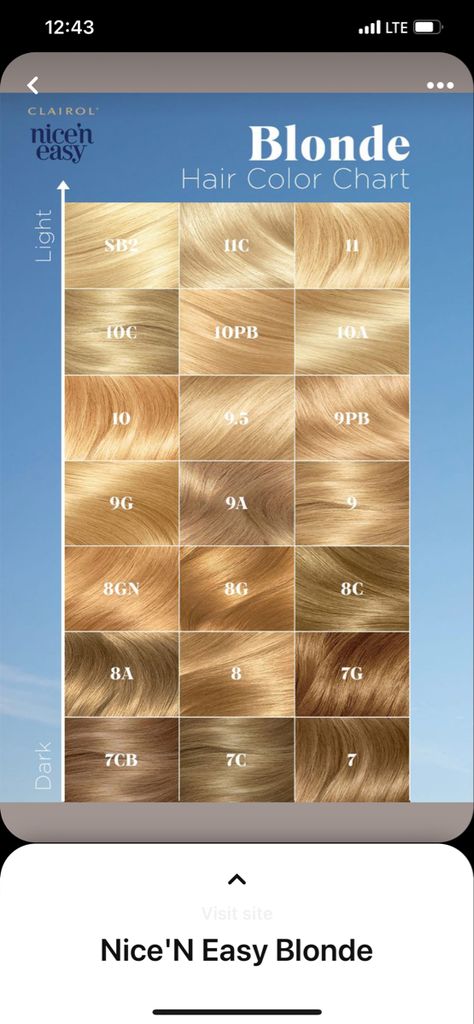 Blonde Hair Swatches Color Charts, Shades Of Blonde Hair Color Chart, Shades Of Blonde Chart, Blond Shades Chart, Clairol Hair Color Chart, Blond Tones Chart, Clairol Hair Color, Easy Hair Color, Hair Color Chart