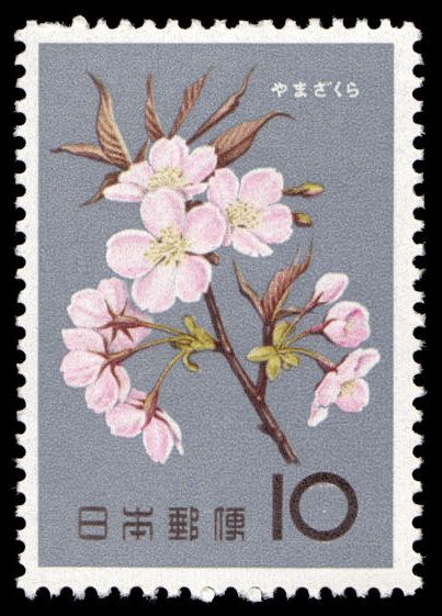 1961, Japan, Set flowers Prunus Serrulata, طوابع بريد, Japanese Stamp, Postage Stamp Design, طابع بريدي, Post Stamps, Postage Stamp Art, Vintage Postage Stamps, Vintage Postage