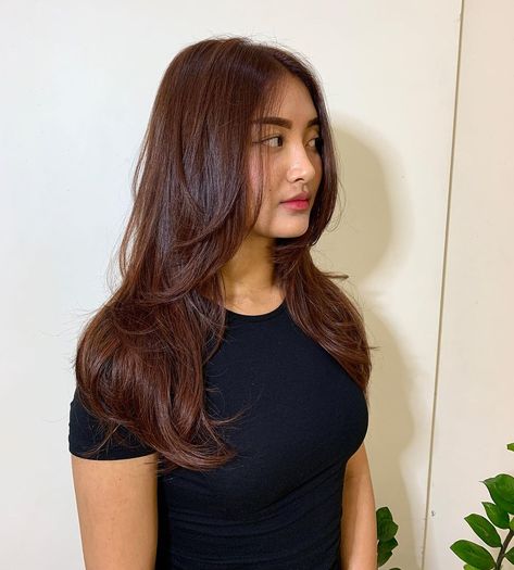 Rusty Hair Color Brown, Rich Auburn Hair Color Dark Brown, Chestnut Dark Brown Hair, Dark Copper Brunette Hair, Brown Hair With Auburn Undertones, Hair Colors For Deep Autumn, Mahogany Brown Balayage, Auburn Chocolate Brown Hair, Warm Chestnut Hair