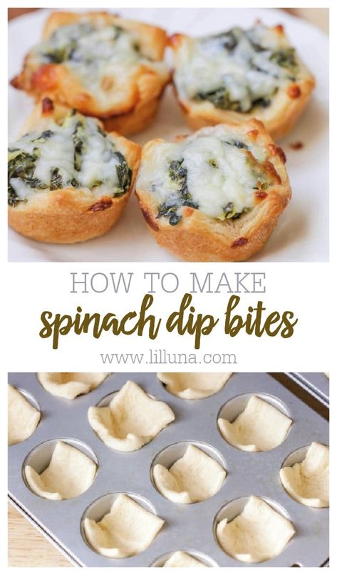 Spinach Dip Bites are crunchy, bite-size treats are cheesy and buttery, making them a great appetizer. They are a hit every time! #spinachdipbites #appetizer #spinachartichoke #cheesyspinachartichoke #appetizer Spinach Dip Bites, Spinach Bites, Thanksgiving Appetizer Recipes, Bite Size Appetizers, Appetizers Easy Finger Food, Best Appetizer Recipes, Finger Foods Easy, Appetizer Bites, Thanksgiving Appetizers