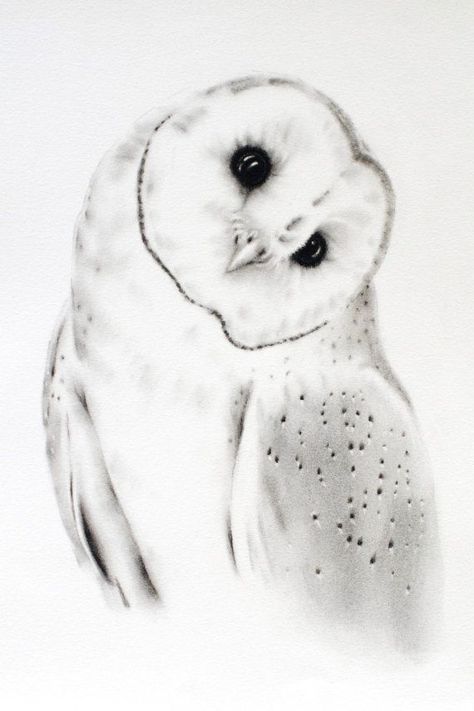 25+ best ideas about Charcoal Drawings on Pinterest | Charcoal ... Owl Ink Drawing, Drawing Of An Owl, Barn Owl Drawing, Barn Owl Tattoo, Barn Owl Art, Owl Sketch, Owl Drawing, Owl Artwork, Bird Sketch