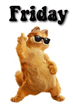 Friday friday gif happy friday friday quotes cool cat Dancing Cat Gif, Friday The 13th Funny, Happy Friday Dance, Grumpy Cats, Friday Dance, Friday Meme, Friday Pictures, Friday Images, Happy Friday The 13th