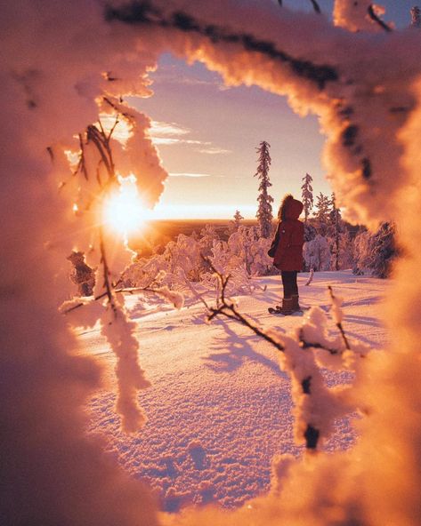 Good morning World! 👋 It will be a beautiful and sunny day in Levi Lapland and with some nice -19C ❄️☀️💎💙 #levilapland #sparksyoursoul 📷: @dansmoe Finland Trip, Sleigh Bells Ring, Walking In A Winter Wonderland, Lapland Finland, Tourist Office, Good Morning World, Winter Photos, Beautiful Sights, Winter Pictures