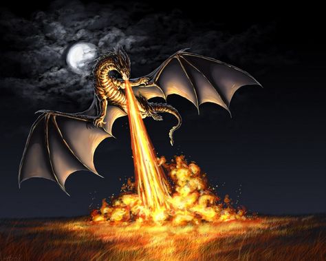 Mythological Creatures - Dragon - Page 1 - Wattpad Dragon Medieval, Breathing Fire, Yin Yang Tattoos, Here There Be Dragons, Fire Breathing Dragon, Dragon Fire, Dragon's Lair, Dragons Breath, Here Be Dragons