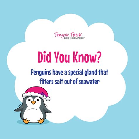 🐧❄️ Penguin Fact Friday: Did you know penguins have a special gland that filters salt out of seawater? Pretty cool! 

Speaking of cool things, our Holiday Shop is a refreshing way to teach kids about budgeting and giving. Dive into the details at penguinpatch.com! #FunFactFriday #HolidayShopMagic #PenguinPatch Facts About Penguins, Fun Facts About Penguins, Passive Programming Library, Penguin Patch, Penguin Facts, Preschool Winter, Fun Fact Friday, Winter Preschool, Library Programs