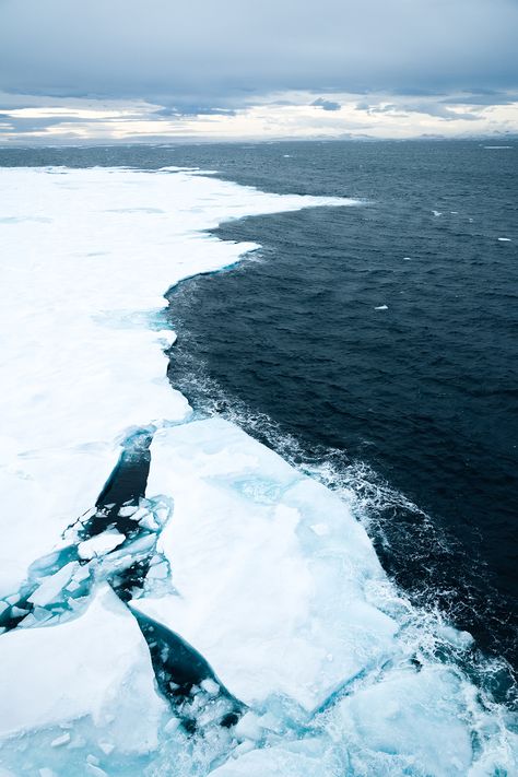 Arctic Explorer Aesthetic, Artic Ocean Aesthetic, Arctic Ocean Aesthetic, Arctic Wasteland, Arctic Aesthetic, Arctic Photography, Whale Fall, Dragon Types, Arctic Explorers