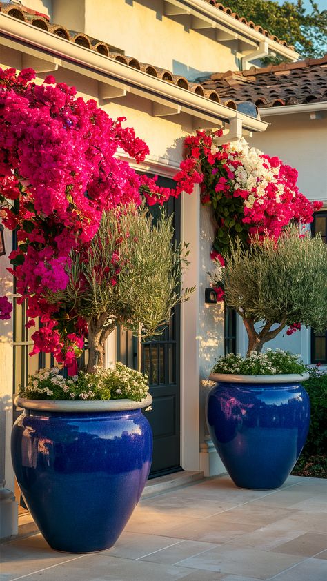 Get inspired with these fresh and fabulous front door flower pot ideas that are perfect for trying out this year. Outdoor Plant Pot Ideas, Bougainvillea Pot Ideas, Potted Plant Ideas Outdoor, Front House Landscaping Florida, Front Door Trees In Pots, Backyard Planter Ideas, Pot Plants Outdoor Patio, Patio Plants In Pots, Potted Flowers For Patio